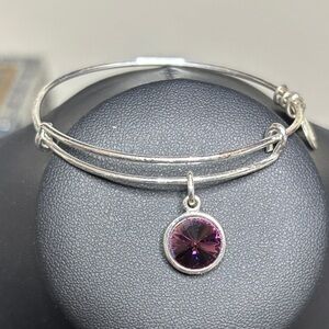 Alex and Ani Elegant Silver Bangle Bracelet Purple Amethyst Charm Adjustable